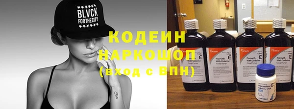 крисы Корсаков