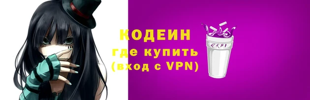 крисы Корсаков