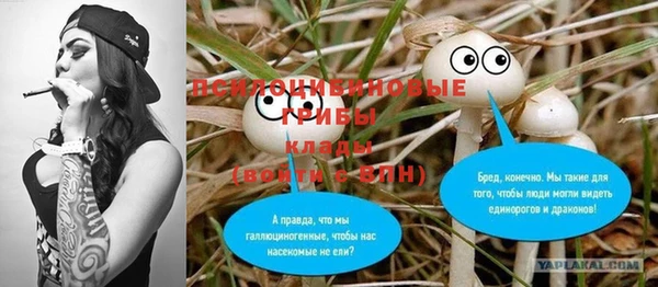 крисы Корсаков