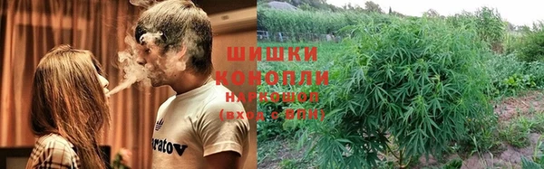 ГАЛЛЮЦИНОГЕННЫЕ ГРИБЫ Костерёво