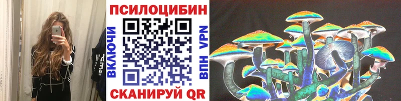 Галлюциногенные грибы Psilocybe  как найти   Лукоянов 