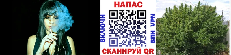 Бошки Шишки конопля  darknet состав  Лукоянов  как найти  